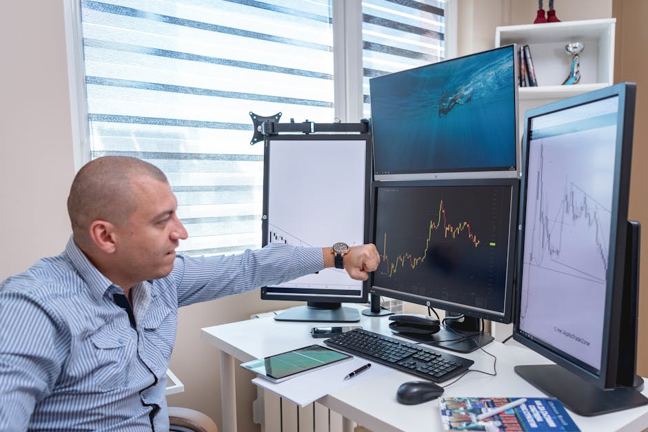 forex trading charts currency forex trading ZenithFX
