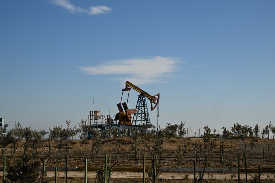 gold oil natural resources forex trading ZenithFX